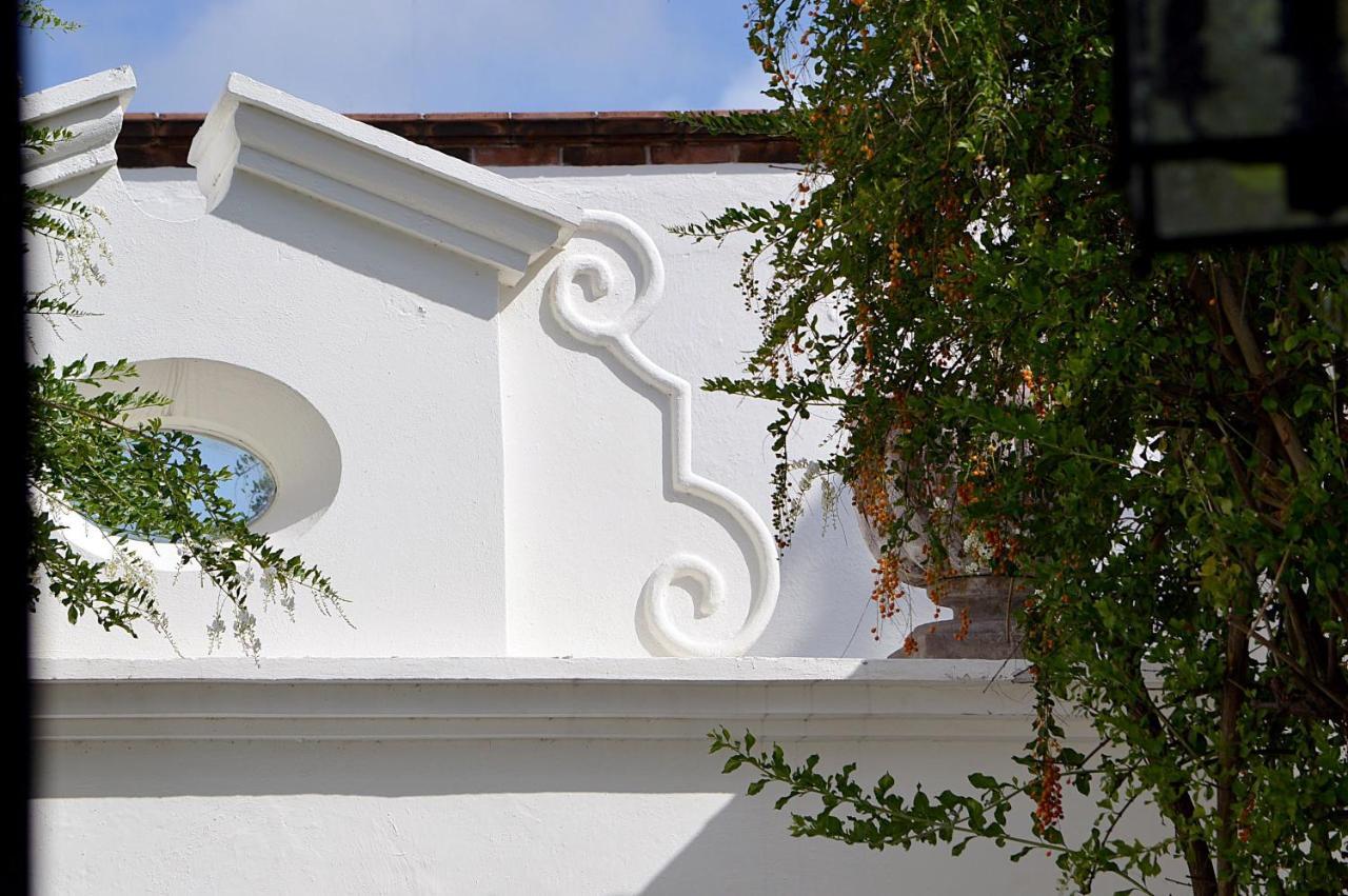 סאן מיגל דה אלנדה Casa De Los Olivos מראה חיצוני תמונה